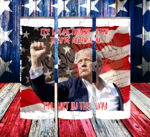 They're not after me Trump Tumbler
